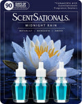 Midnight Rain Fragrance Oil Plug in Air Freshener Refills 3-Pack - Works with  Wall Plugs, Long-Lasting Home Fragrance, 0.8 Fl Oz Each, Packaging May Vary
