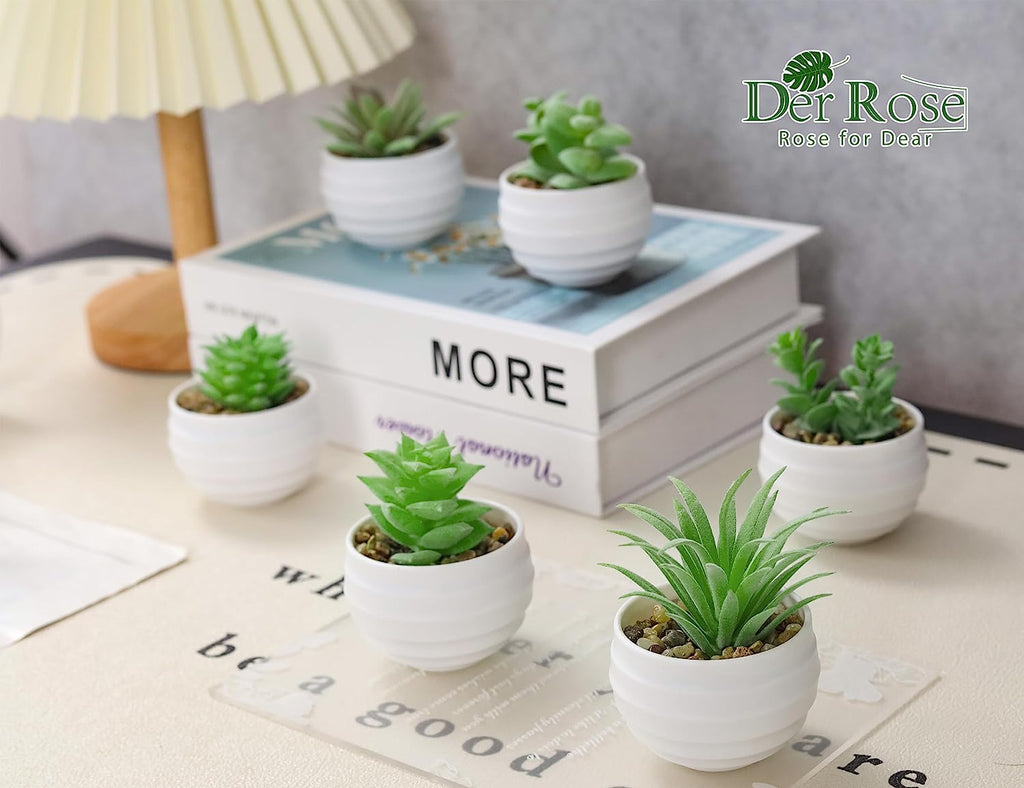 Set of 6 Succulents Plants Artificial in Pots Small Fake Plants for Bedroom Aesthetic Living Room Shelf Bathroom Decor Office Desk Accessories