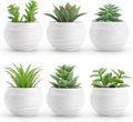 Set of 6 Succulents Plants Artificial in Pots Small Fake Plants for Bedroom Aesthetic Living Room Shelf Bathroom Decor Office Desk Accessories