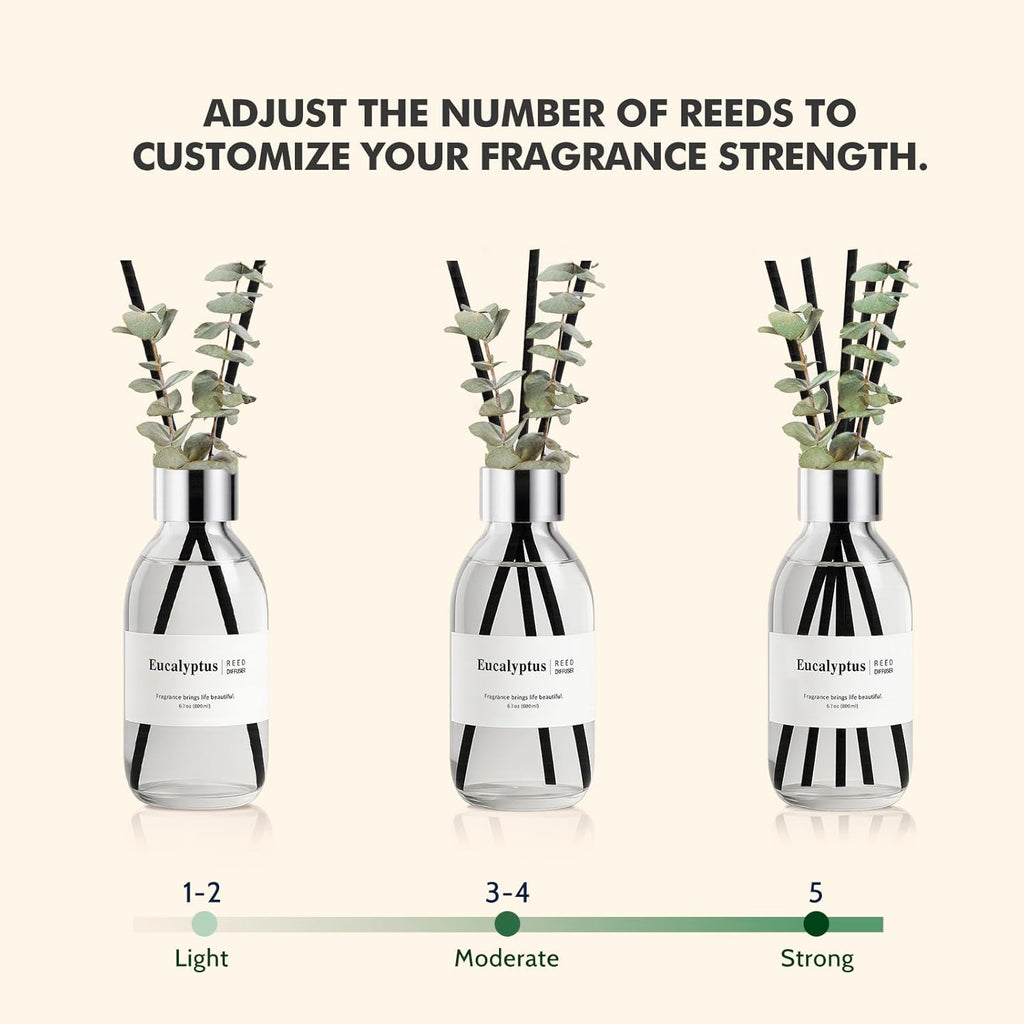 Reed Diffuser Set, 6.7 Oz Eucalyptus Scented Diffuser with Sticks, Home Fragrance Reed Diffuser for Bathroom Shelf Decor