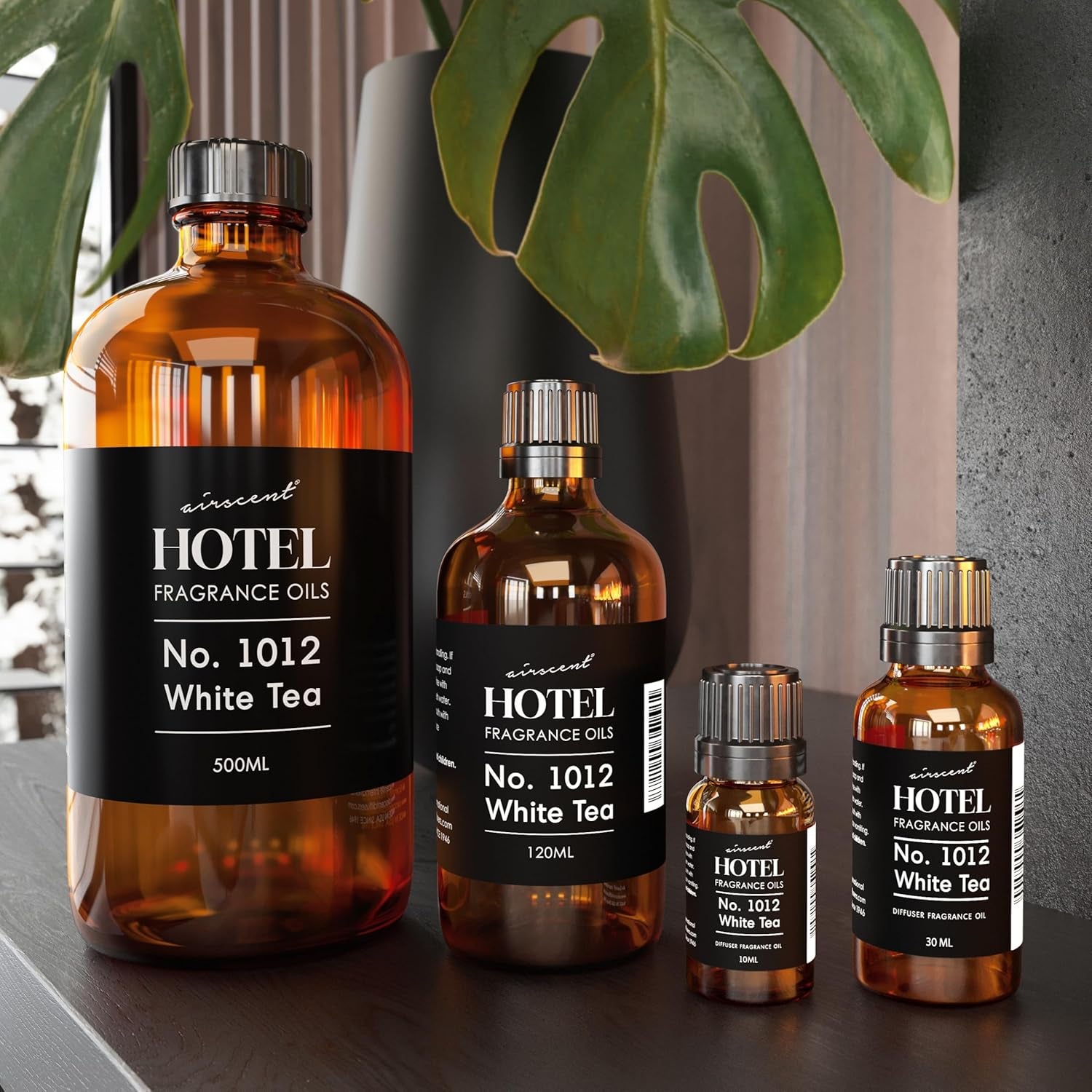 Airscent Hotel Diffuser Oil No. 1012 Inspired by the White Tea Hotel Scent - Premium Fragrance Oil for Ultrasonic and Waterless Diffusers and Crafting - 10 Ml, 0.34 Fl Oz Glass Dropper Bottle