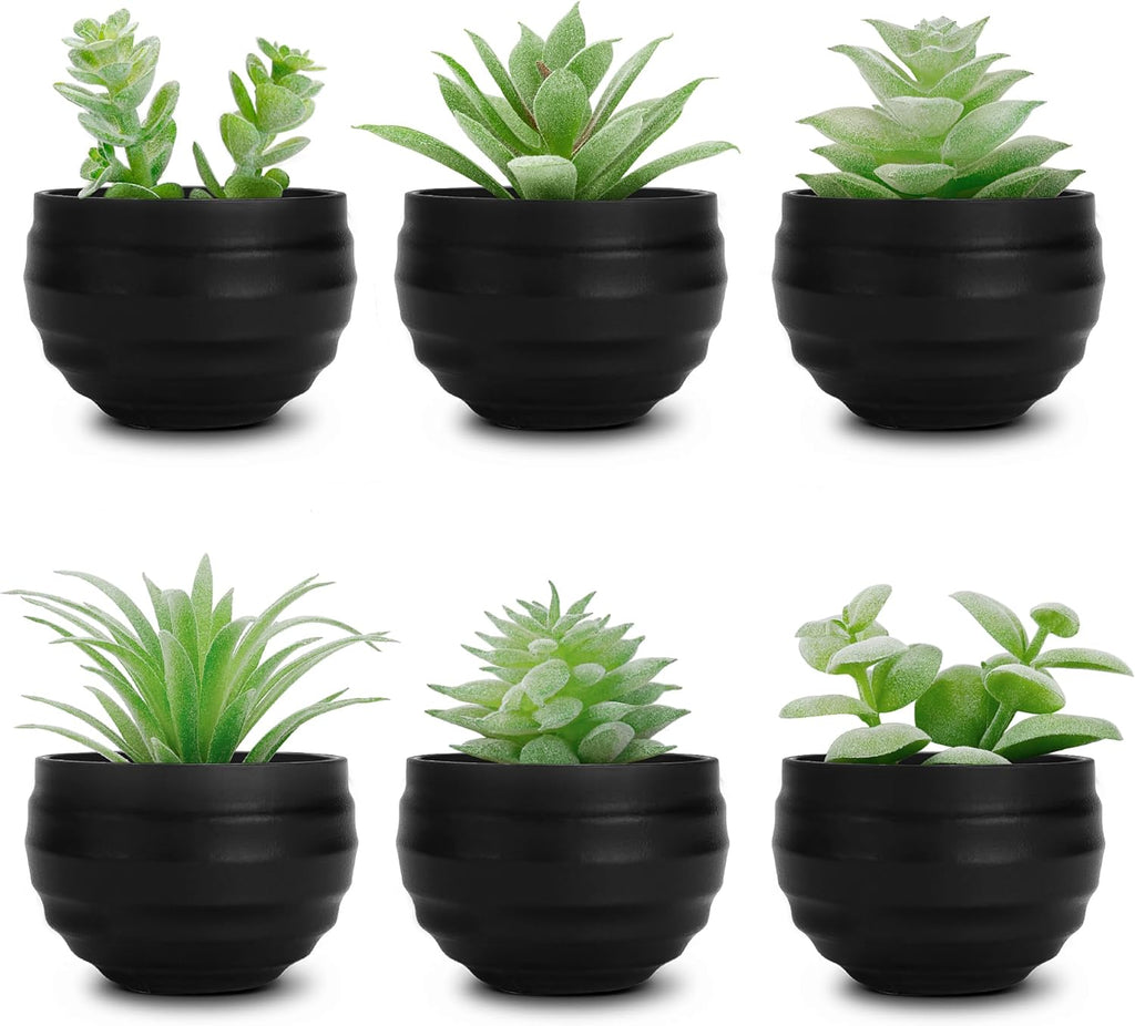 Set of 6 Succulents Plants Artificial in Pots Small Fake Plants for Bedroom Aesthetic Living Room Shelf Bathroom Decor Office Desk Accessories