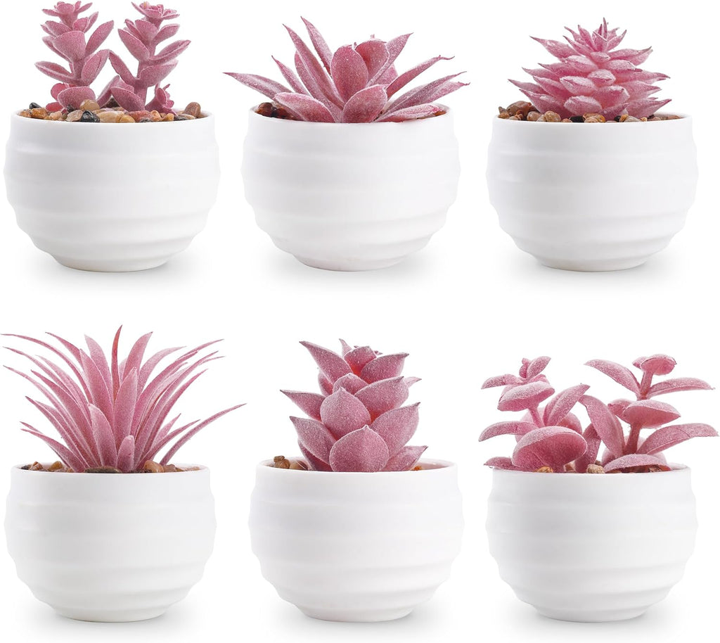Set of 6 Succulents Plants Artificial in Pots Small Fake Plants for Bedroom Aesthetic Living Room Shelf Bathroom Decor Office Desk Accessories