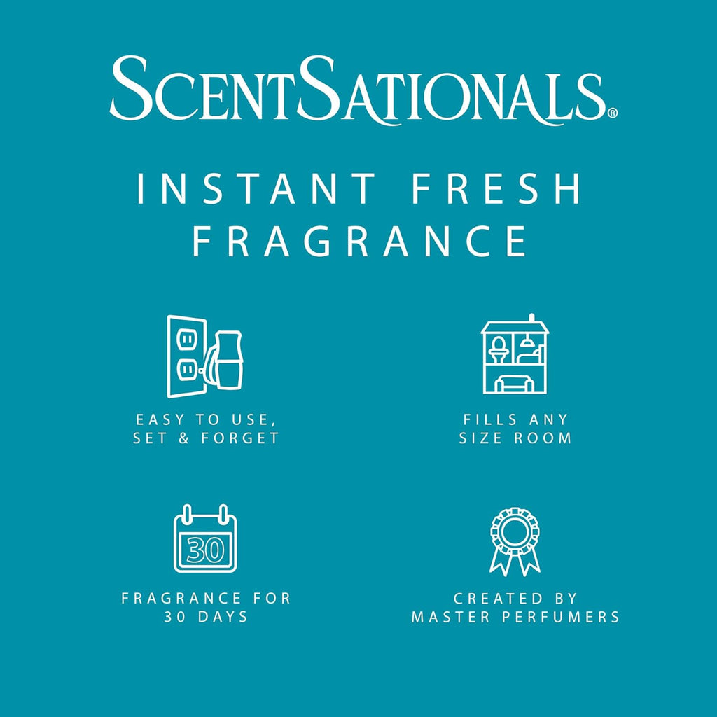Midnight Rain Fragrance Oil Plug in Air Freshener Refills 3-Pack - Works with  Wall Plugs, Long-Lasting Home Fragrance, 0.8 Fl Oz Each, Packaging May Vary
