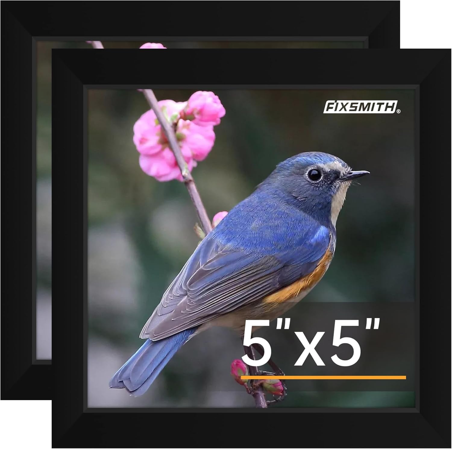 8x10 Picture Frames Set of 2 – Black Wall or Tabletop Display