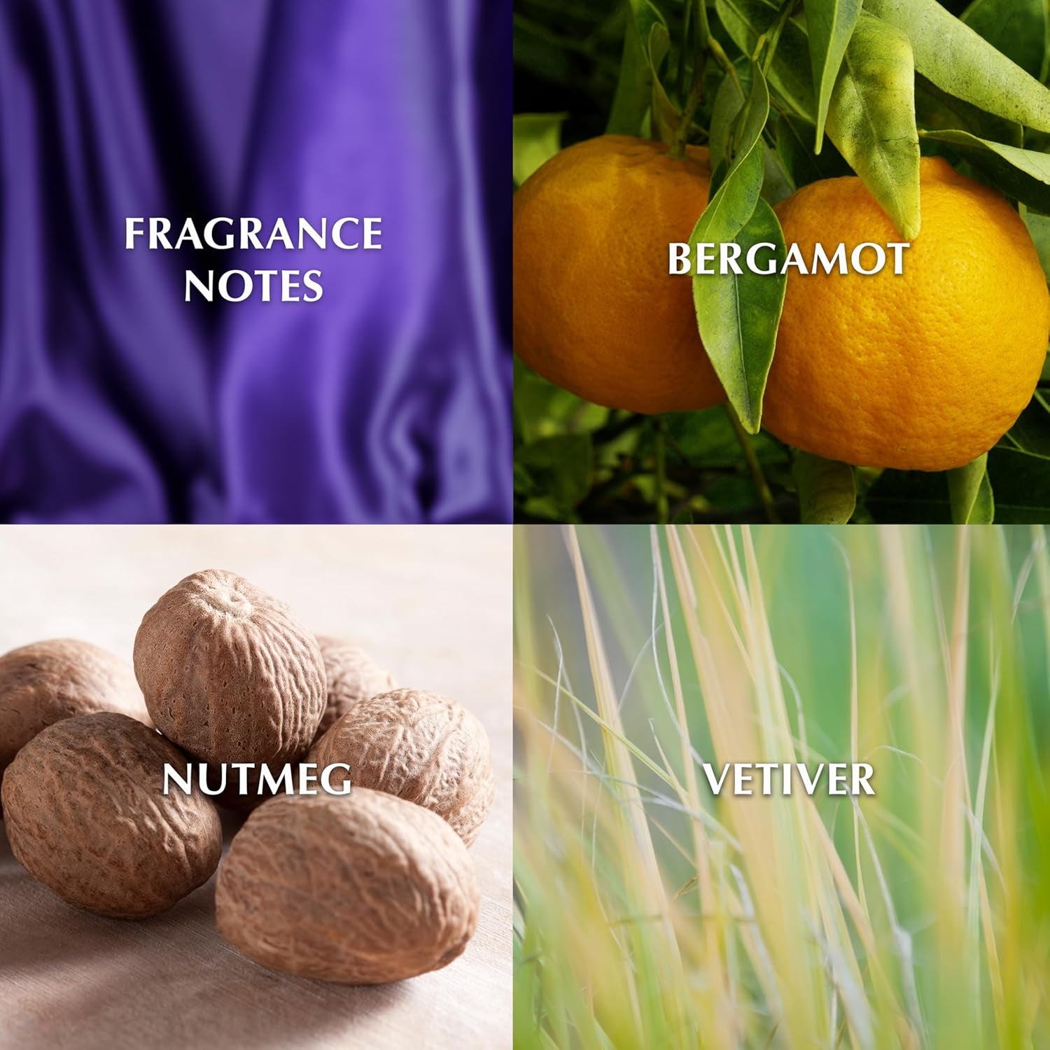 Men'S Cologne Fragrance Spray by , Passion, 4 Fl Oz